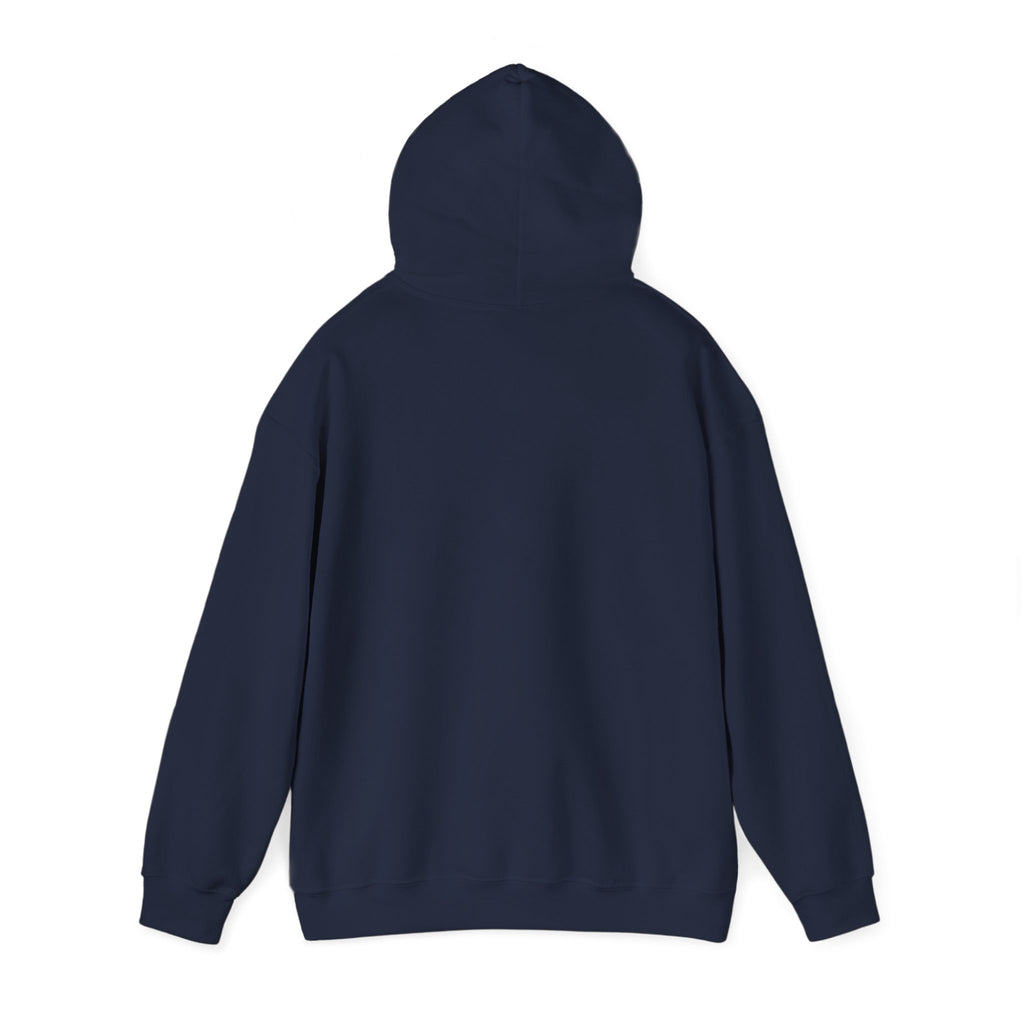 AccessDirect Recovery Network Hoodie — Bridge Logo Pullover