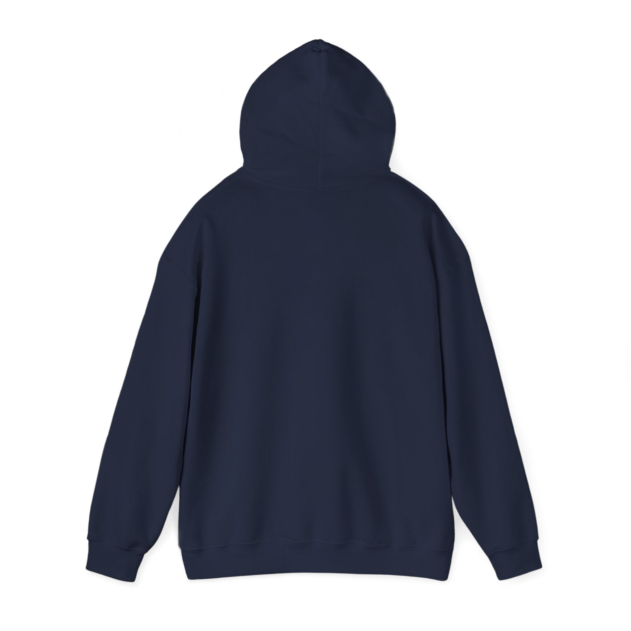 AccessDirect Recovery Network Hoodie — Bridge Logo Pullover