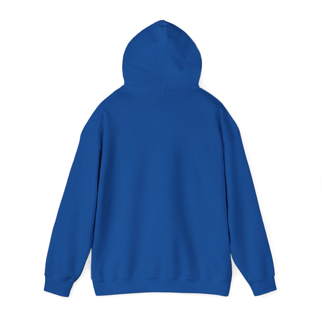 AccessDirect Recovery Network Hoodie — Bridge Logo Pullover