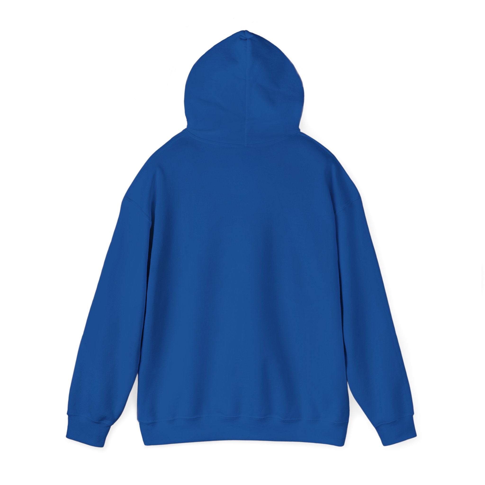 AccessDirect Recovery Network Hoodie — Bridge Logo Pullover